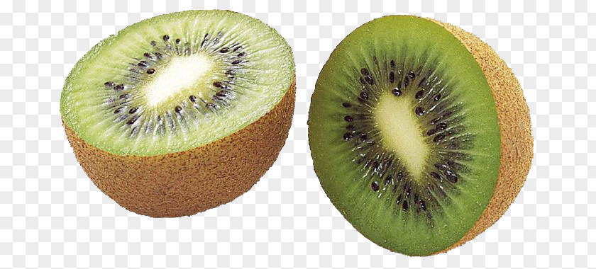 Kiwi Slice File Kiwifruit Clip Art PNG