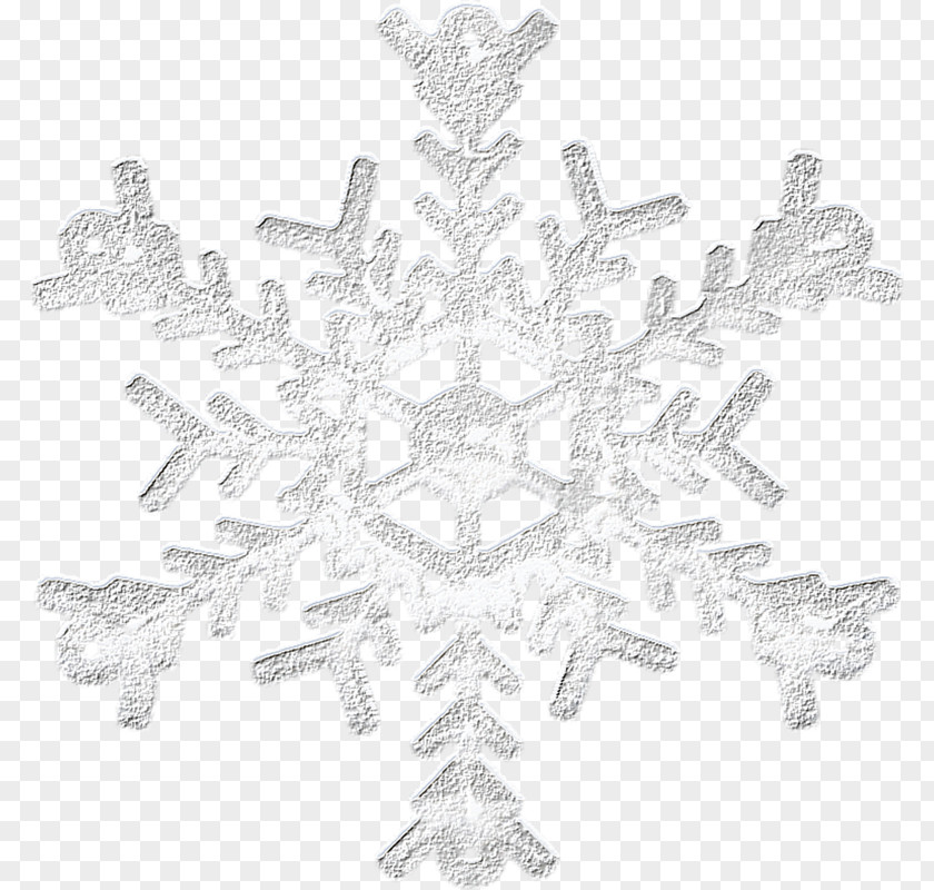 Silver Snowflake Icon PNG