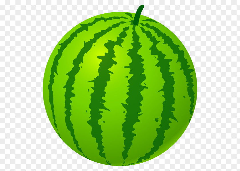 Watermelon Squash PNG