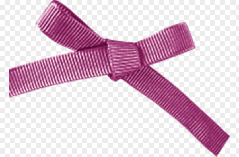 Lazos Ribbon Pink M PNG