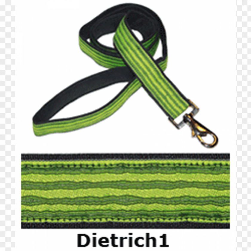 Line Leash Green Font PNG