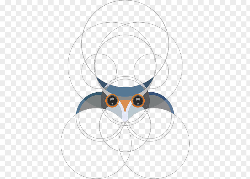 Owl Clip Art Illustration Beak Pattern PNG