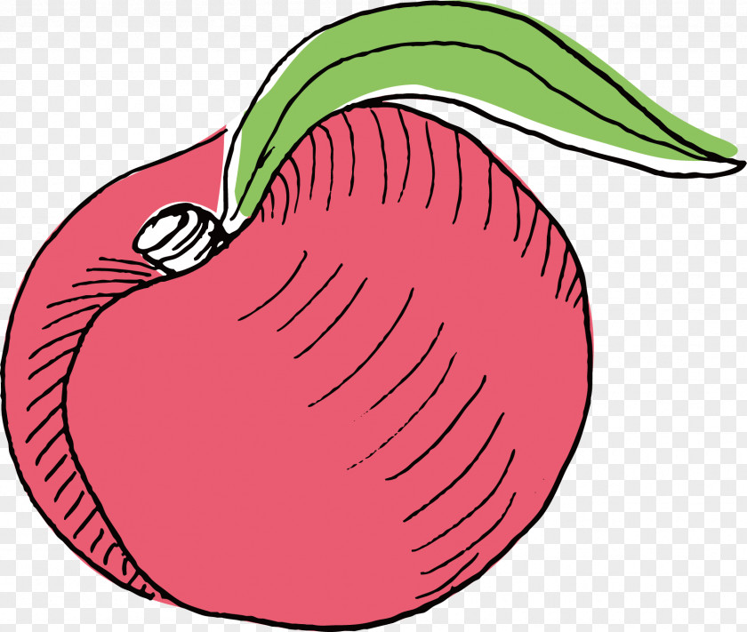 Vector Hand-painted Delicious Apple Illustration PNG