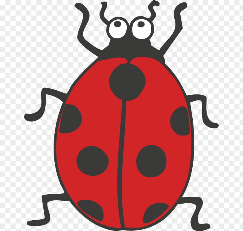 Beetle Drawing Coloring Book Clip Art PNG