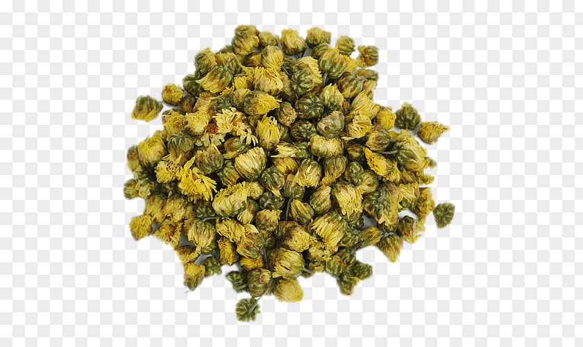 Bulk Chow Chrysanthemum Picture Material Tea Xd7grandiflorum Tongxiang Dendranthema Lavandulifolium PNG