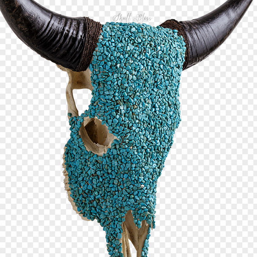 Skull Cattle Animal Skulls XL Horns PNG