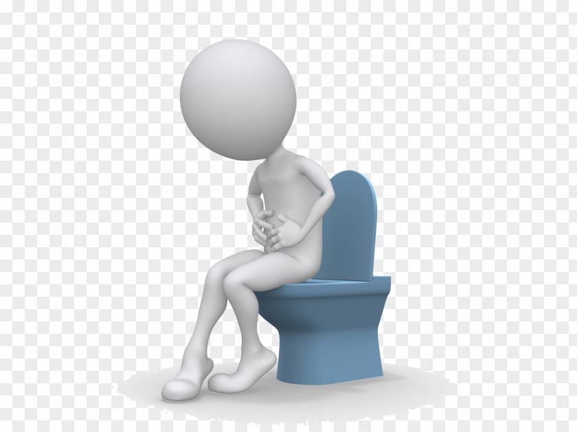 Toilet Man Large Intestine Defecation Irritable Bowel Syndrome Gastrointestinal Tract Constipation PNG