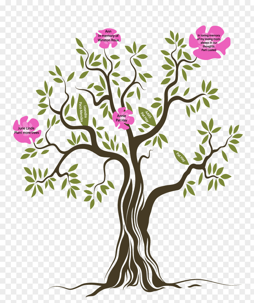 Tree Shrub Floral Design PNG