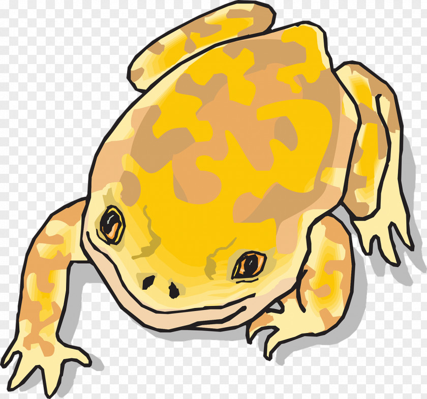 Crawling Frog Southern Brown Tree Poison Dart Yellow Clip Art PNG
