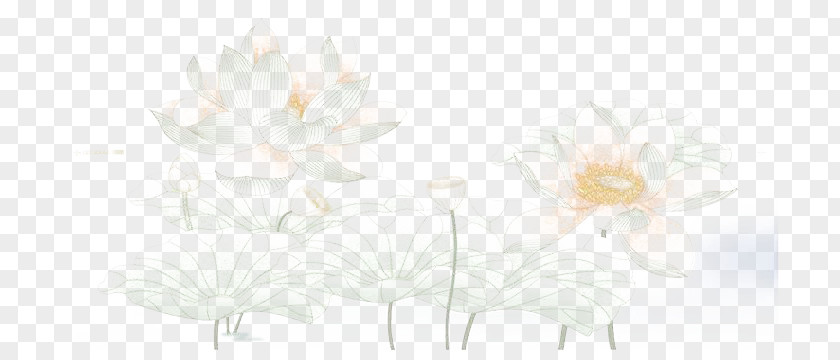 Elegant Lotus Fig. Flora Cut Flowers Twig Plant Stem PNG