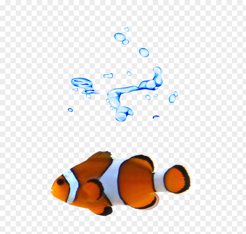 Fish Swimming T-shirt Clownfish PNG