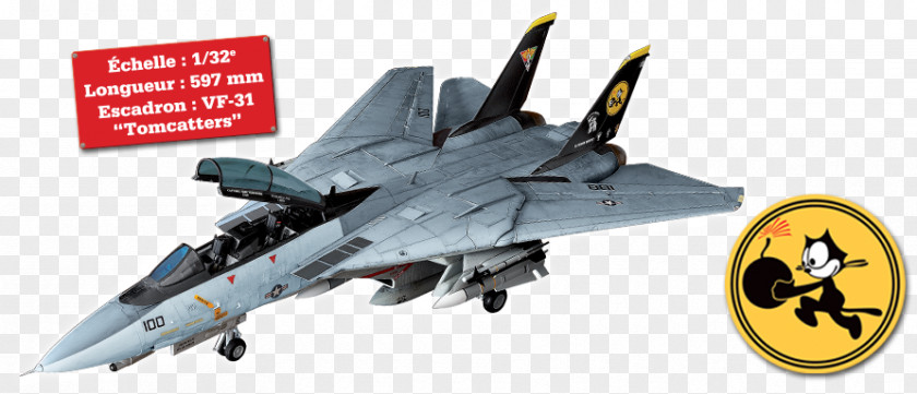 Grumman F-14 Tomcat Apache Scale Models Hypertext Transfer Protocol PNG