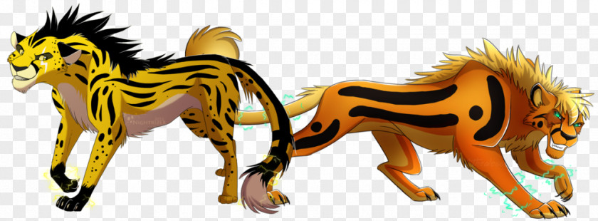 King Tiger 1 48 Wallpaper Lion Cheetah Jaguar Leopard Cat PNG