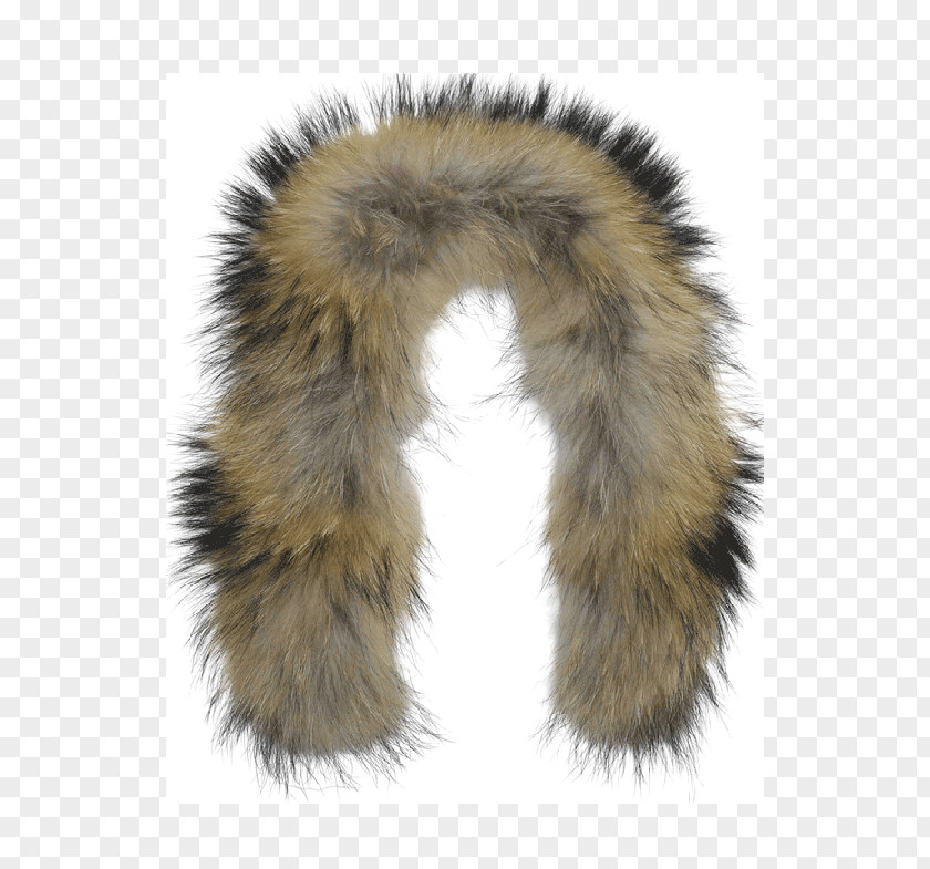 Ladies Fur Snout PNG