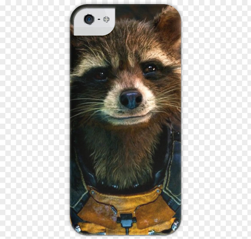 Rocket Raccoon Star-Lord Groot Guardians Of The Galaxy PNG