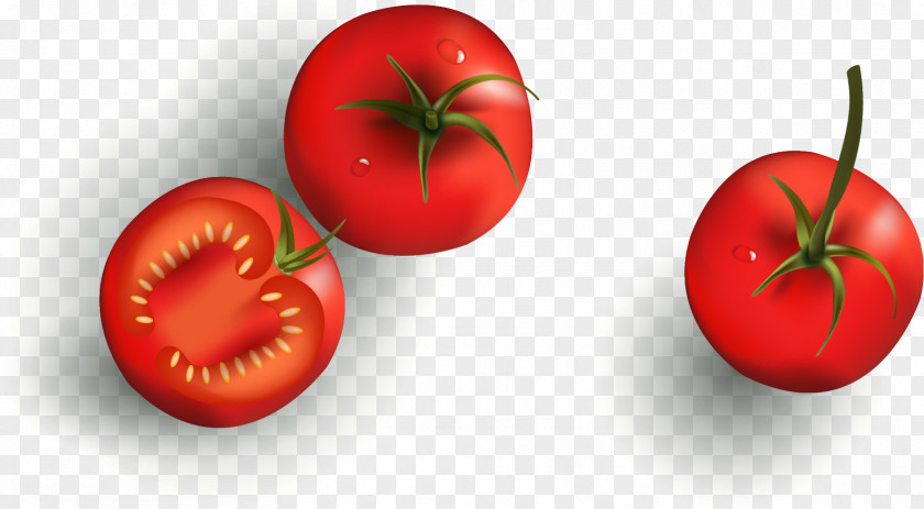 Tomato Tomatillo Food PNG