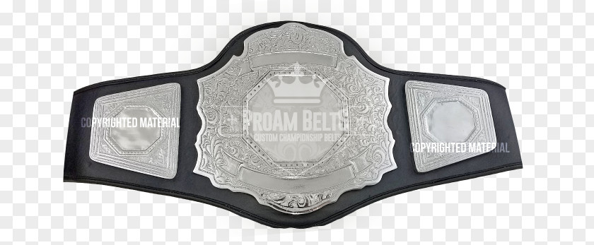 WWE United States Championship NWA Heavyweight WWWF Professional Wrestling PNG wrestling championship, modified title clipart PNG