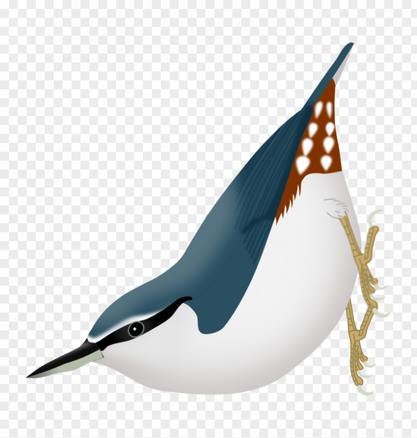 Android Algerian Nuthatch Mobile Phones Running Chroni Google Now PNG