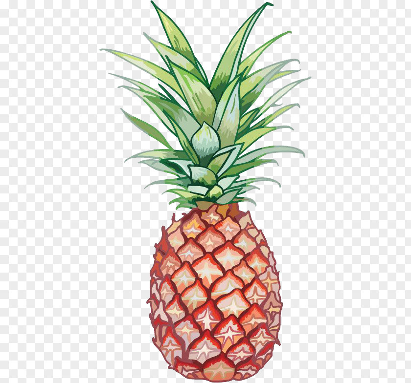 Juice Fruit Pineapple Granita PNG