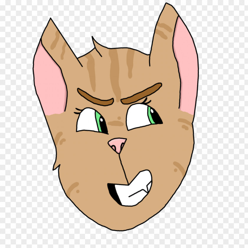 Kitten Whiskers Cat Cheek Snout PNG