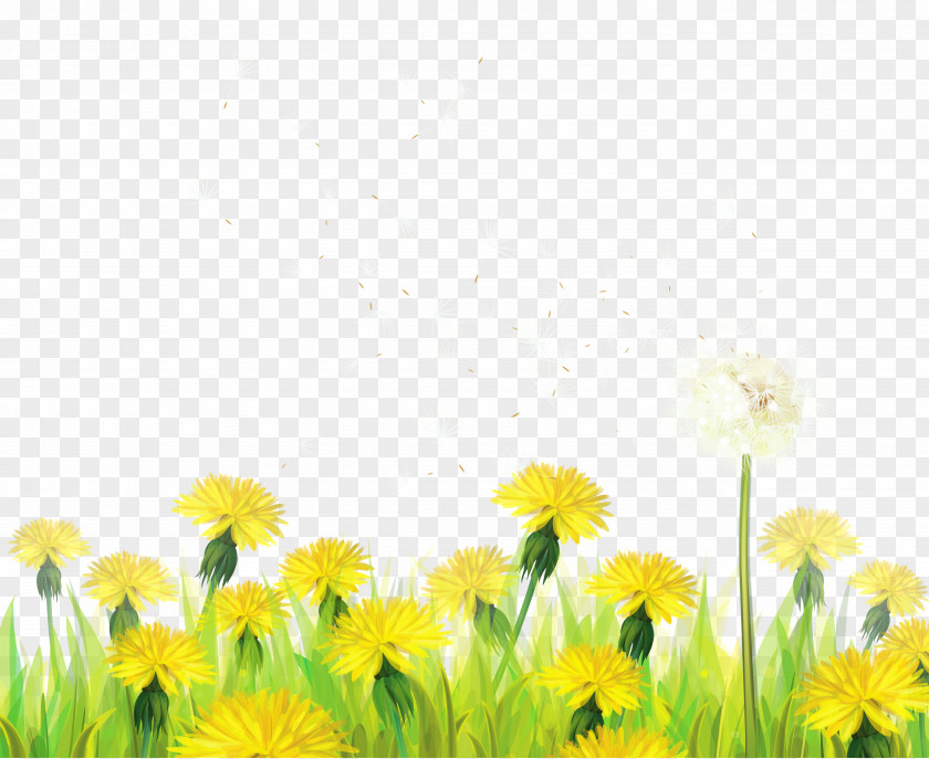 Transparent Grass With Dandelions Clipart Dandelion Clip Art PNG