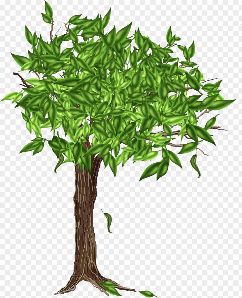 Tree Drawing Clip Art PNG