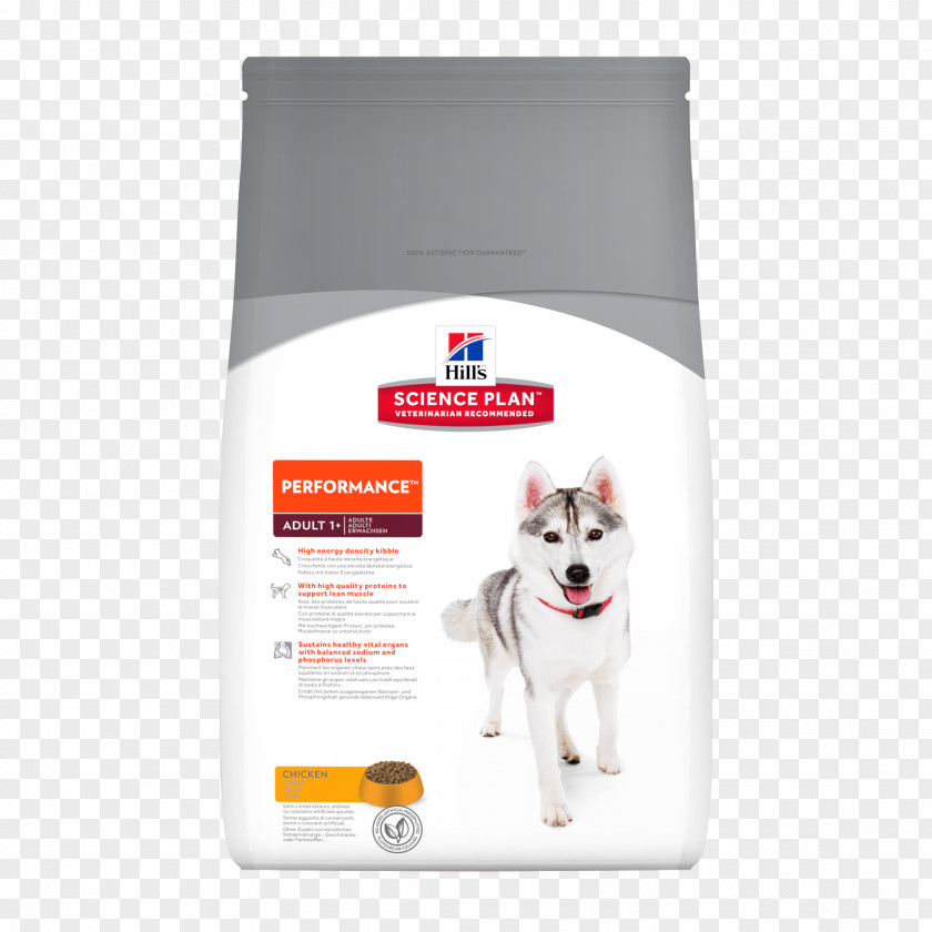 Dog Cat Food Puppy Science Diet Hill's Pet Nutrition PNG