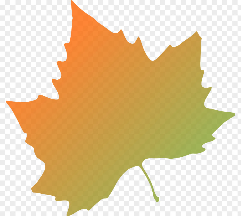 Leaf Autumn Color Clip Art PNG