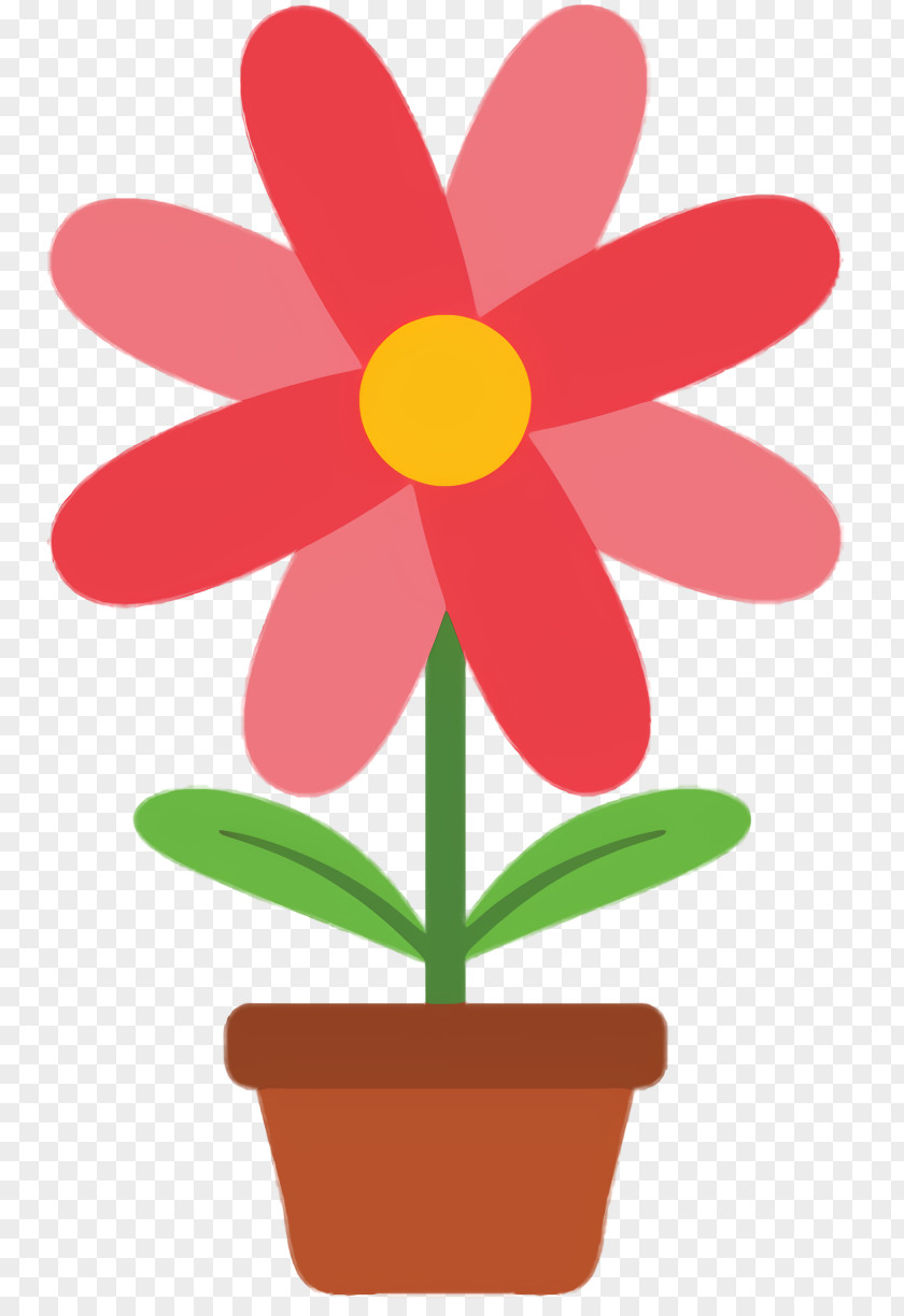 Wildflower Houseplant Flower Stem PNG