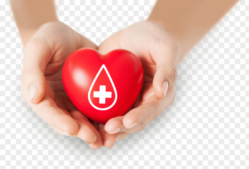 Blood Donation Stock Photography World Donor Day PNG