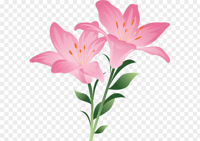 Blumen Garten Flower Clip Art Easter Lily Floral Design PNG