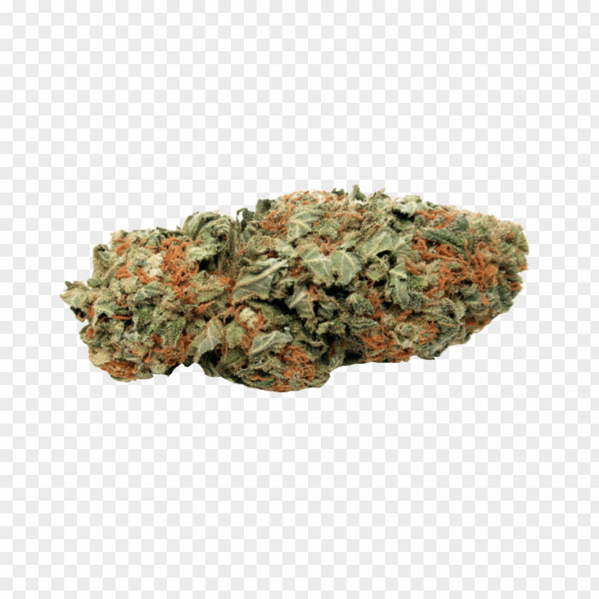 Cannabis Kush Medical Haze Gorilla Glue 4 PNG