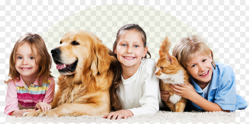 Cat Dog Pet Shop Family PNG