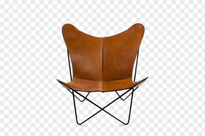 Chair Furniture Fauteuil Wing PNG