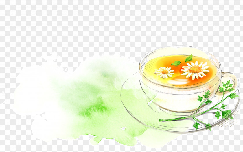 Painted Chrysanthemum Tea Flowering Green PNG
