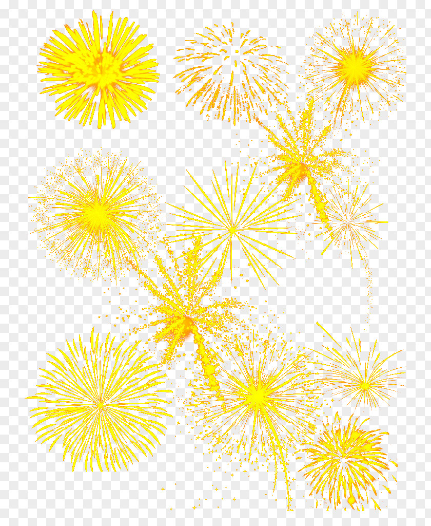 Round Golden Fireworks Computer File PNG