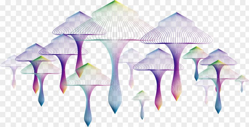 Vector Hand Colored Mushrooms Mushroom Euclidean Fungus PNG