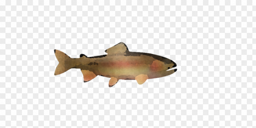 Animal Figurine Fish Biology Science PNG