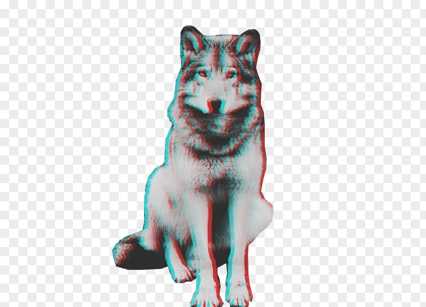 Dog Sticker Gray Wolf PNG