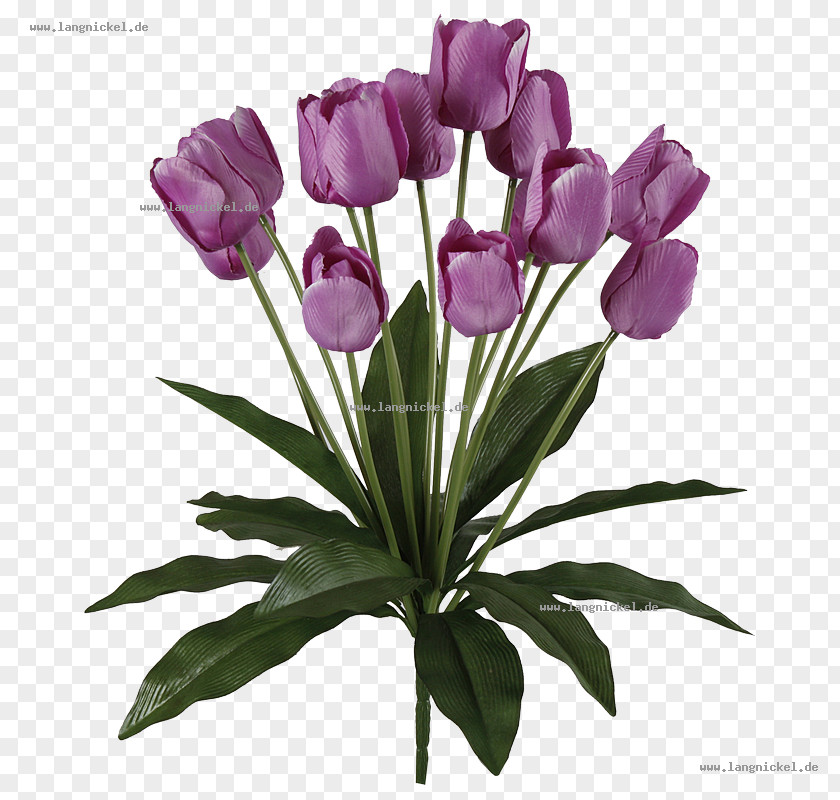 Flower Floral Design Cut Flowers Tulip Bouquet PNG