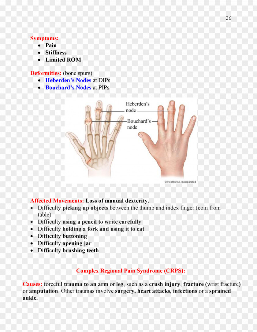 Hand Bouchard's Nodes Heberden's Node Occupational Therapy Osteoarthritis Physical PNG