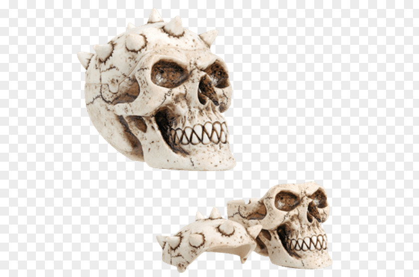 Skull Skeleton Figurine Collectable Container PNG