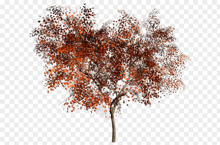 Tree Clip Art PNG