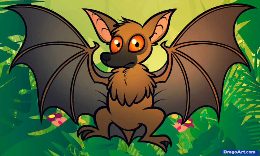 Drawings Of Fruit Bats Megabat Drawing Cartoon Clip Art PNG