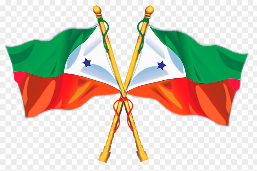 Flag India Muthupet Popular Front Of Social Democratic Party PNG