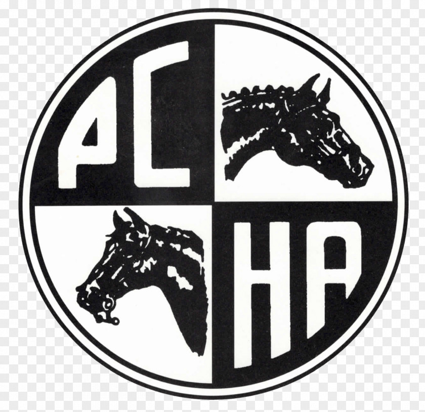 Horsemanship Pacific Coast Horse Shows Association Equestrian United States Hunter/Jumper PNG