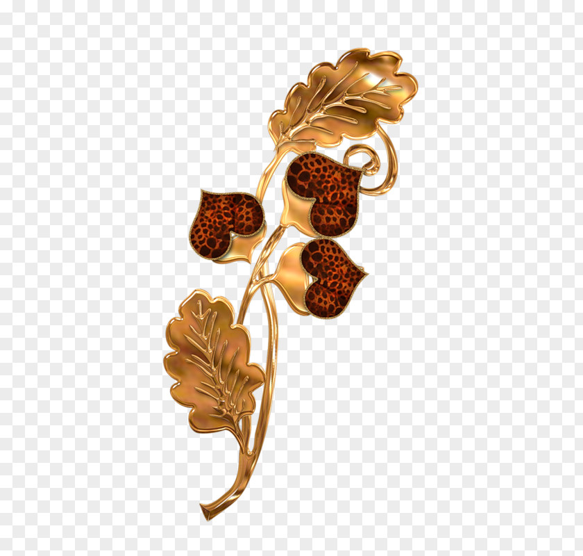 Jewellery 0 Body Brooch Author PNG