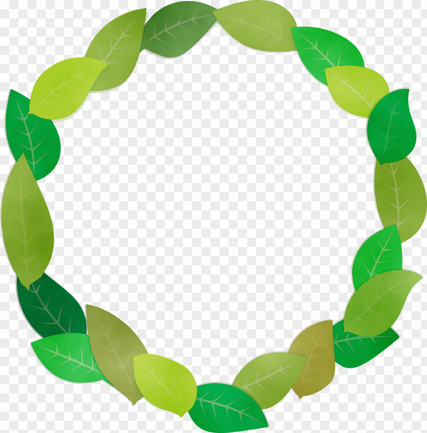 Leaf Green Jewellery Science Biology PNG
