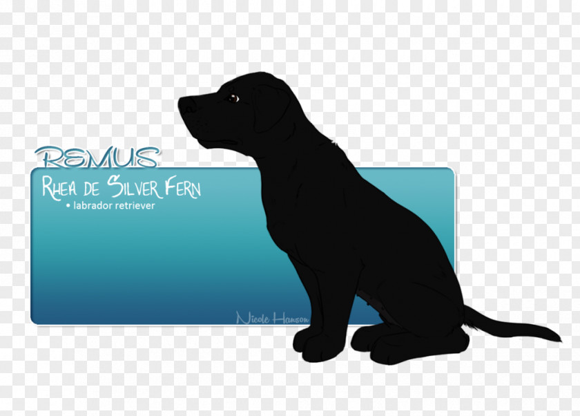 Cat Labrador Retriever Dog Breed Sporting Group PNG