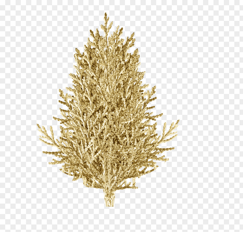 Christmas Tree Spruce Ornament Fir PNG